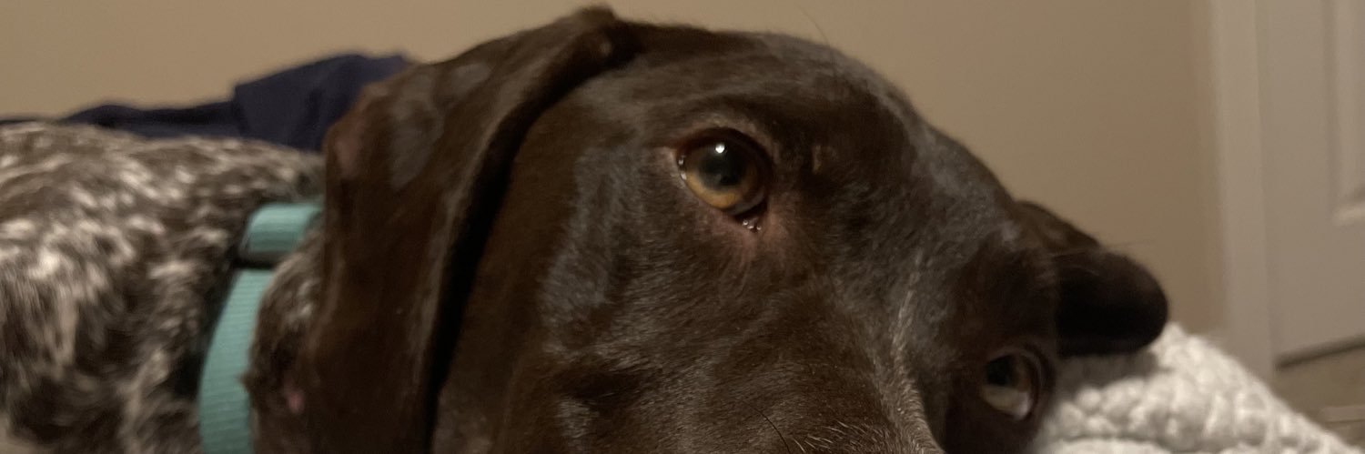 calebearsmessia's profile banner image