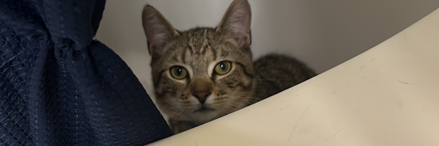 karlas_version's profile banner image