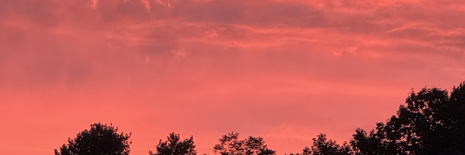 Lori Pauley Warren banner