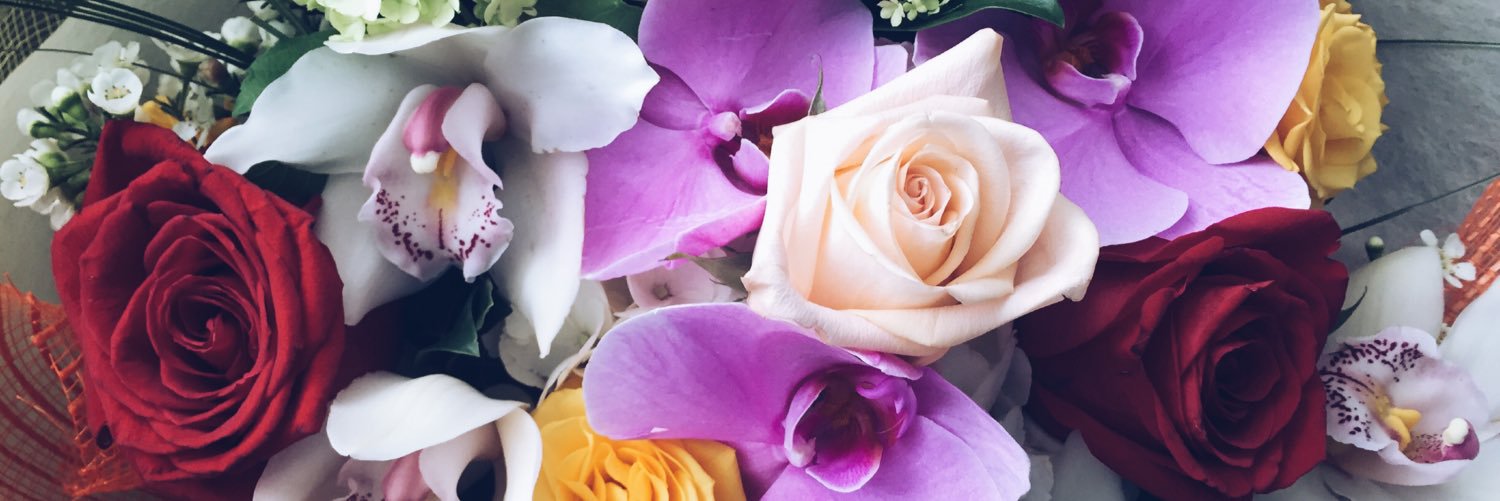raquelamado_'s profile banner image