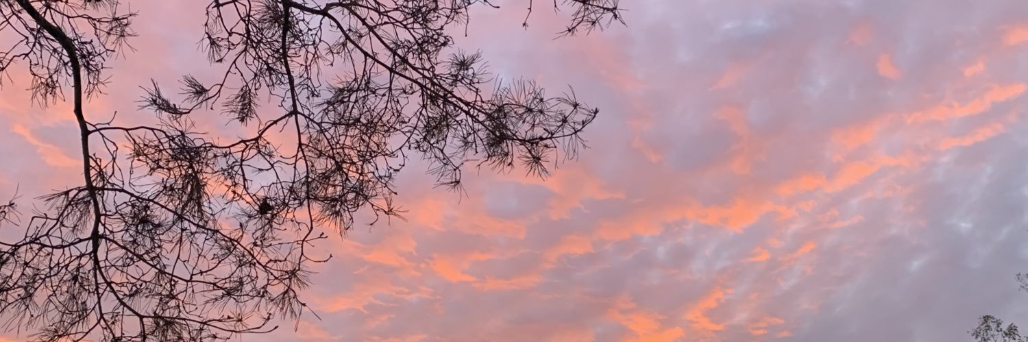 jordanmichee's profile banner image