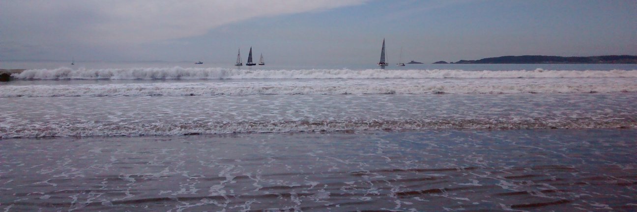 Sarah Rodgers banner