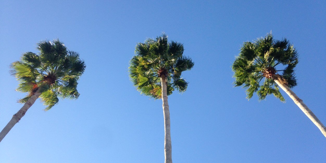 loganalexmarks's profile banner image