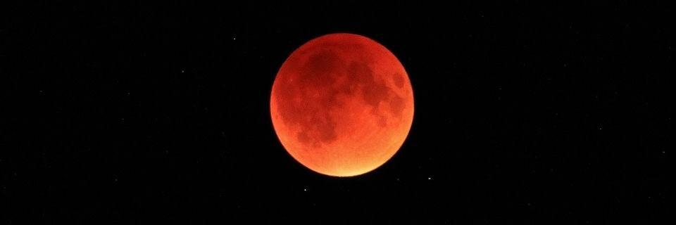 mj_berk's profile banner image