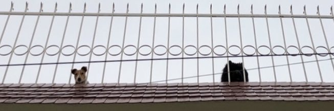 josecastaa's profile banner image
