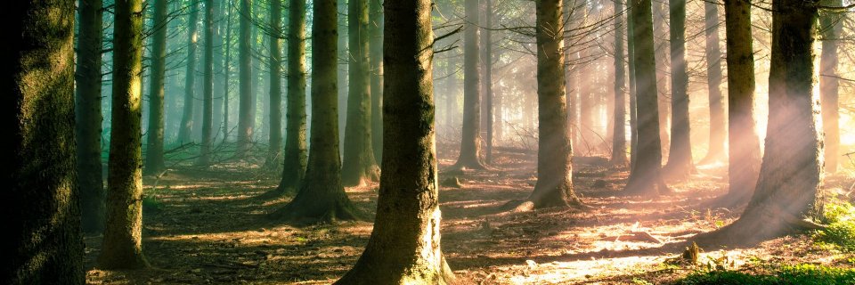 NoobGab's profile banner image