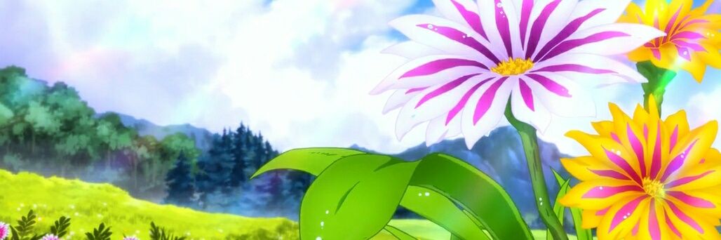 RazLi505's profile banner image