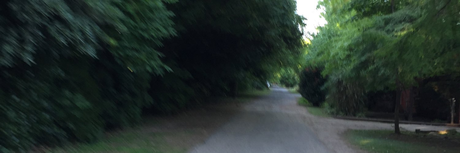 anadeperris's profile banner image