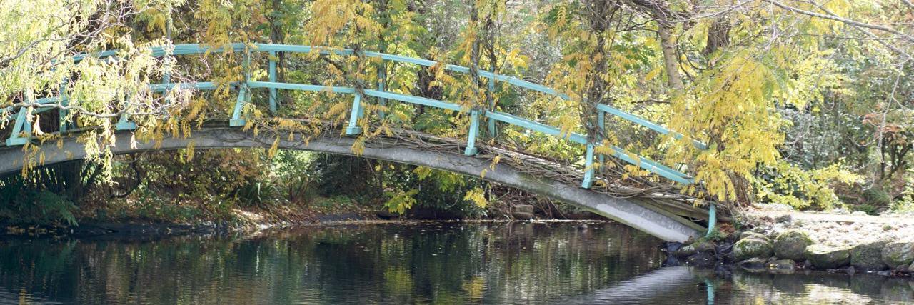 Jetsetting Joyce banner