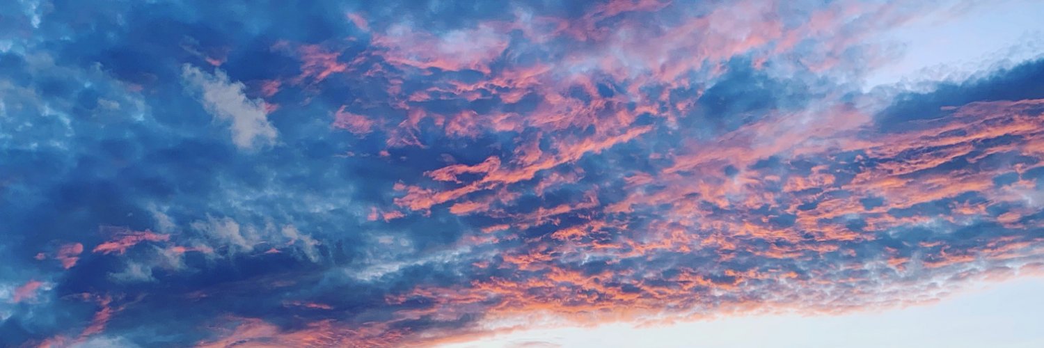 Gordon F Snyder Jr banner