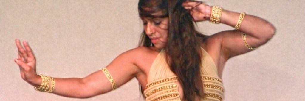 Pridancee's profile banner image