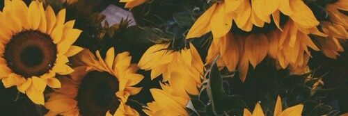 Kerybell's profile banner image