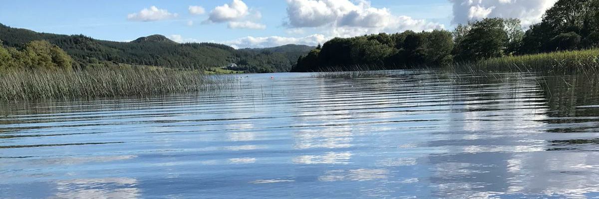 siobhancoyle's profile banner image