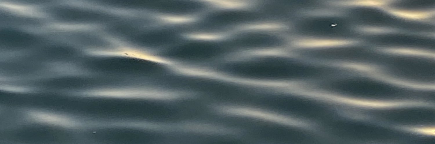 rchlmr_'s profile banner image