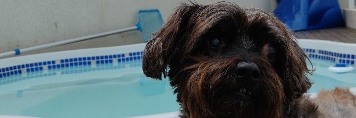 amandadalsolerr's profile banner image