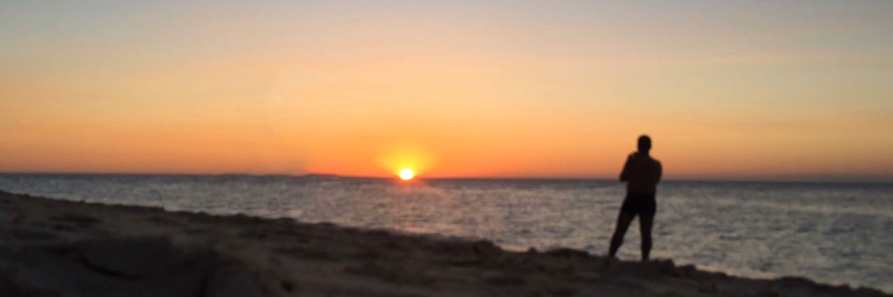 dynonel's profile banner image