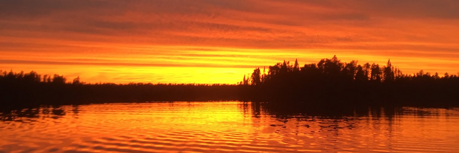 eottusch's profile banner image