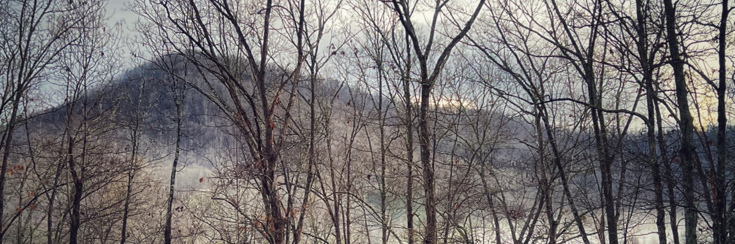 💙 Tracey Mikos 💜 banner