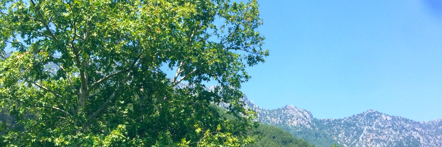ivarli01's profile banner image
