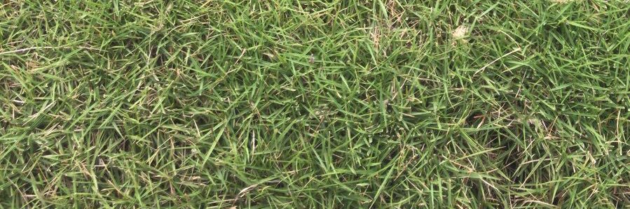 WillStanVin's profile banner image