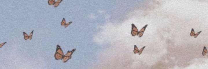 itsalexhaley's profile banner image