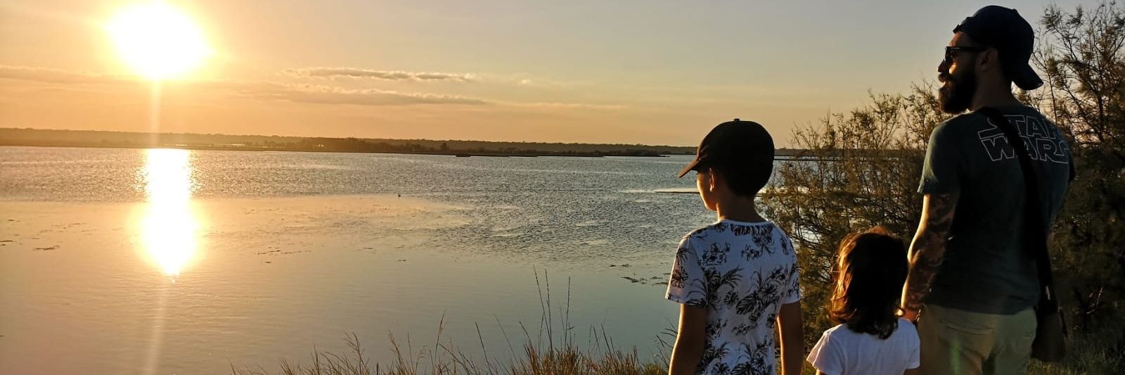 Antonio Norvillo banner