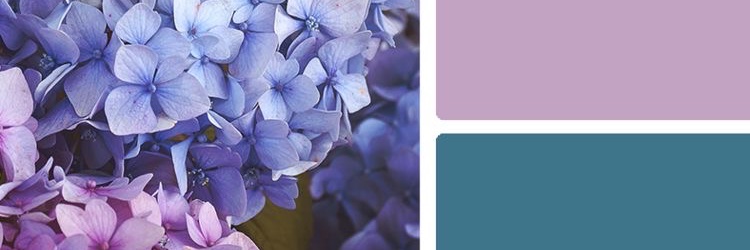 kenzidyb's profile banner image