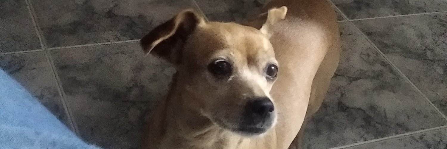 JanderCarrillo's profile banner image