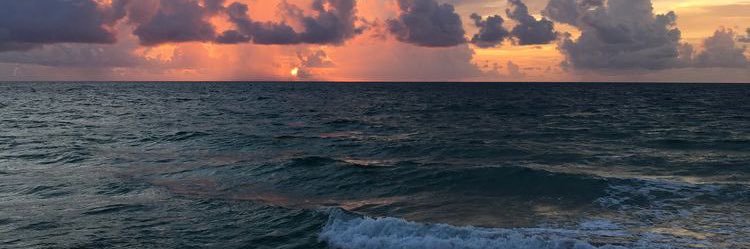 Af_f_m's profile banner image