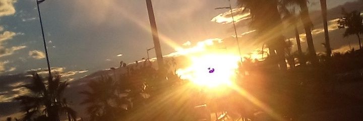 98Irenika's profile banner image