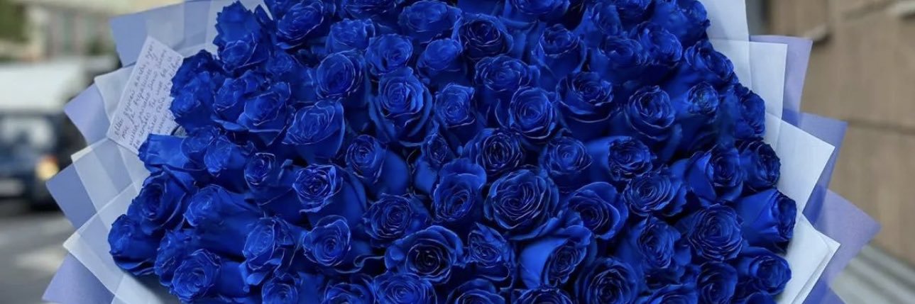 Foreverr_Mara's profile banner image