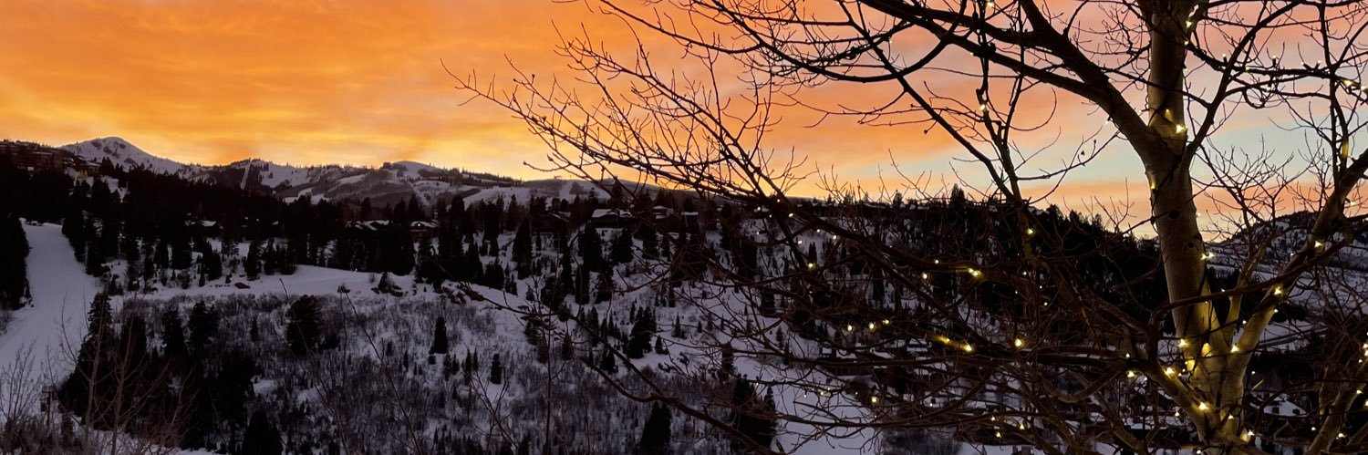 Malecudini's profile banner image