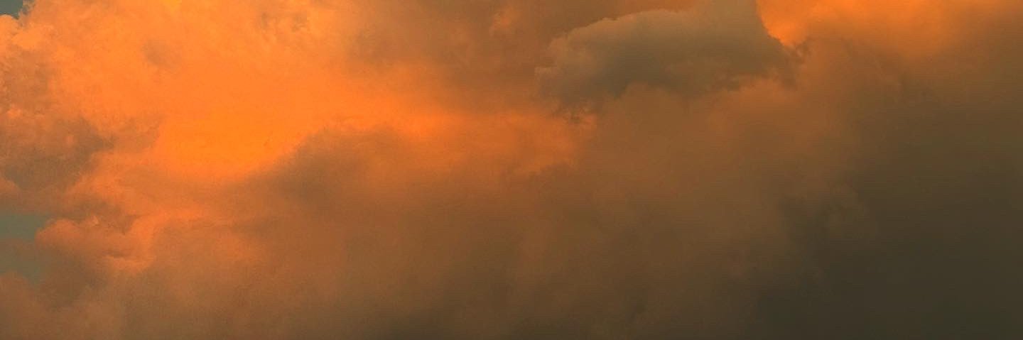 Neonehelenia's profile banner image