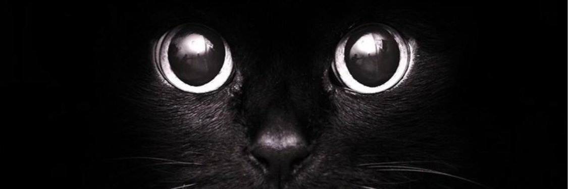 iamdavis1212's profile banner image