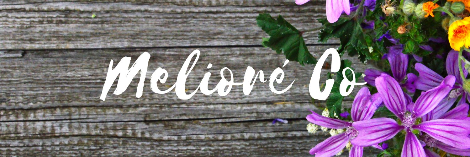 TaylorAlaine's profile banner image