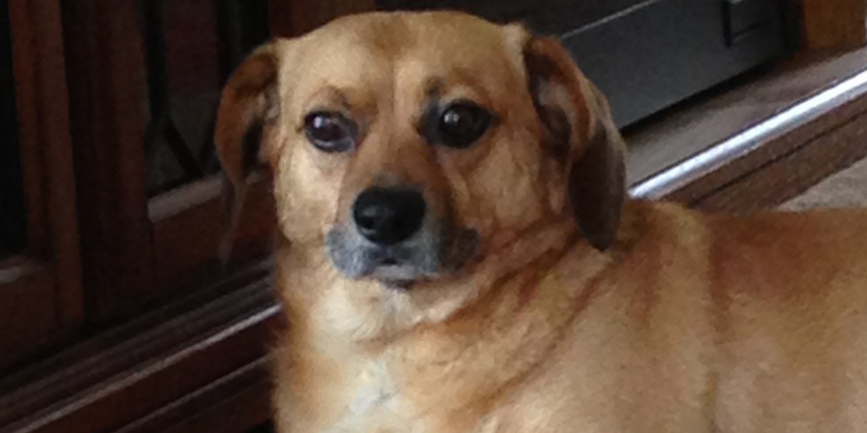 FuckThatGuy's profile banner image