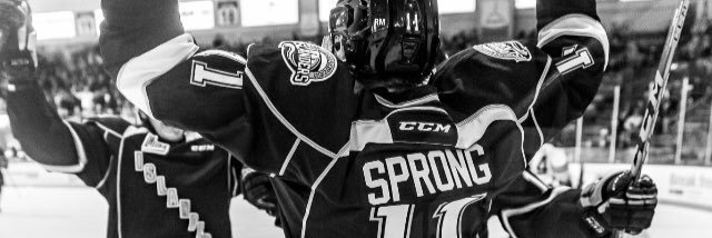 daniel sprong banner