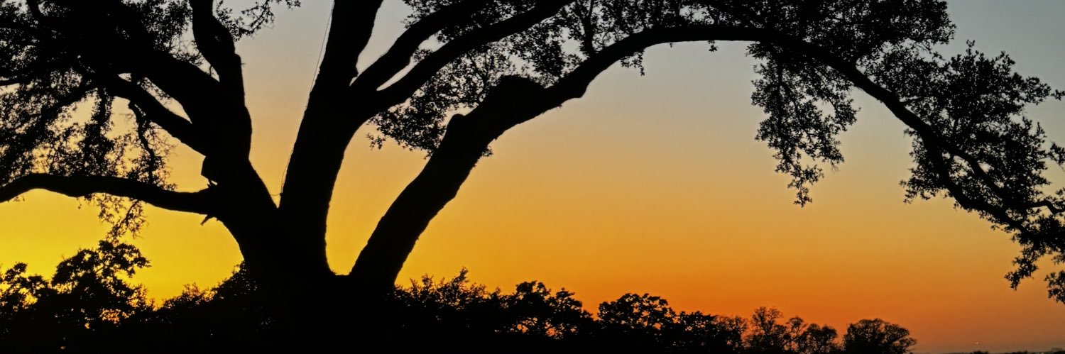 Lexus_Good's profile banner image