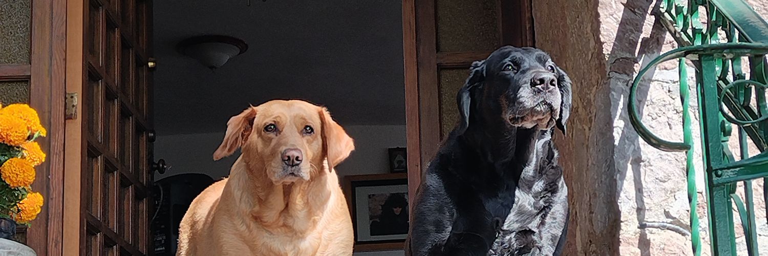_Les_g_'s profile banner image