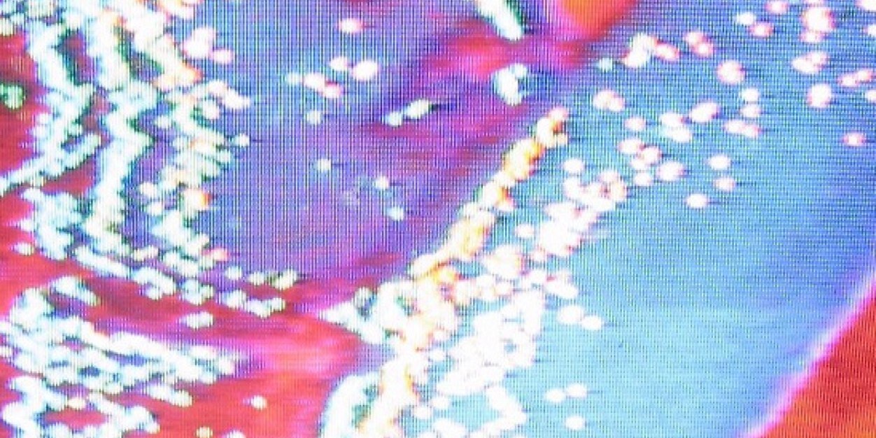 BankruptSlut's profile banner image