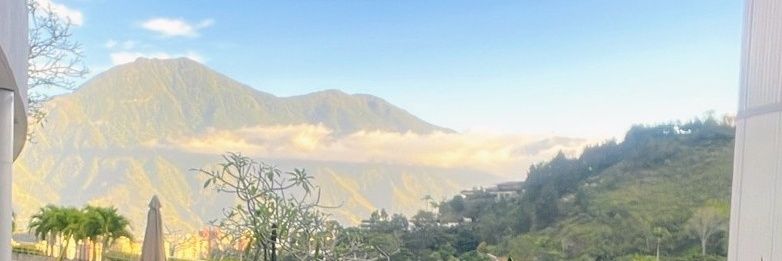 Maria F  Sigillo banner