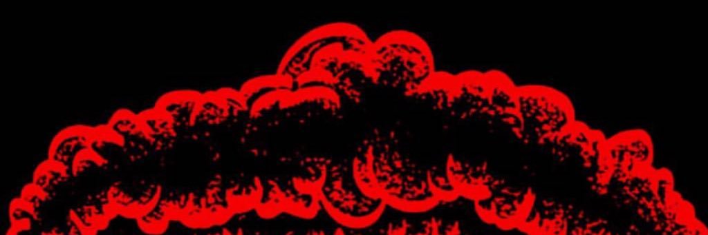 wambuzzer's profile banner image