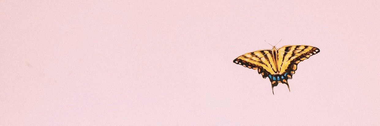 bri_salisbury's profile banner image
