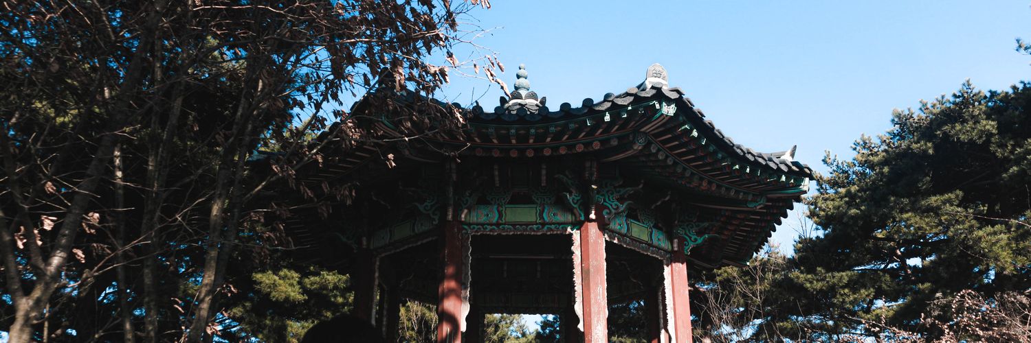 张杨白 一 陽白ーPaundZ banner