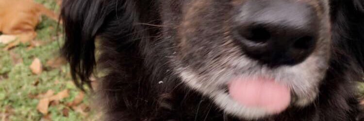 rik_stick's profile banner image