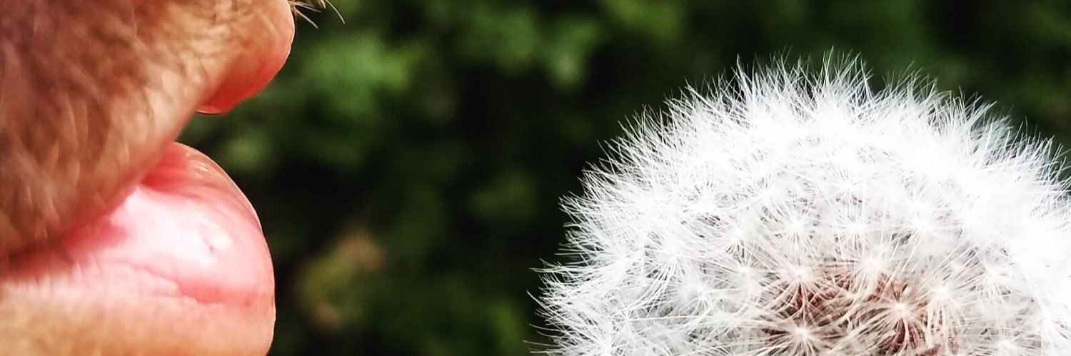 Bleausbears's profile banner image