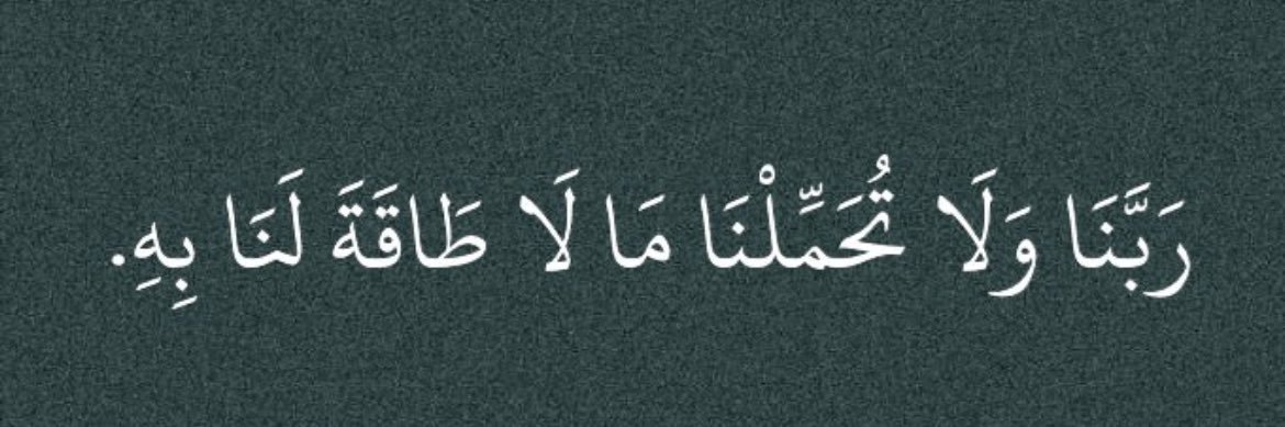 alshammariar's profile banner image