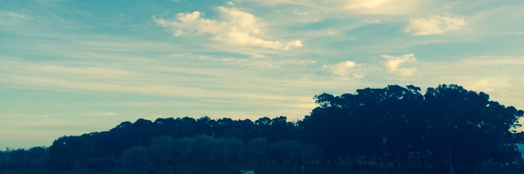 fred_saal8's profile banner image