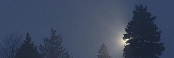 smartyn3516 Profile Banner