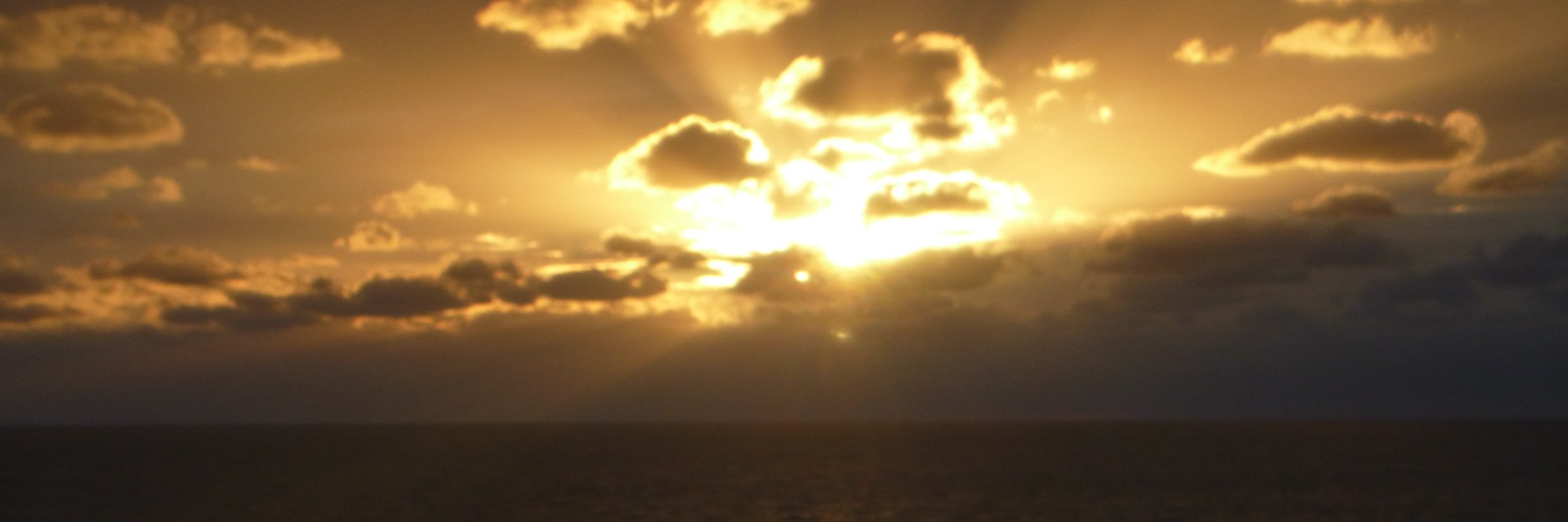 hbirenbaum's profile banner image